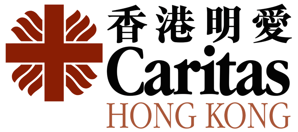 Organization NGO AI training 應用 AI 課程，AI人工智能課程，AI技能提升，AI Upskilling，初學者AI課程，Beginner AI Courses